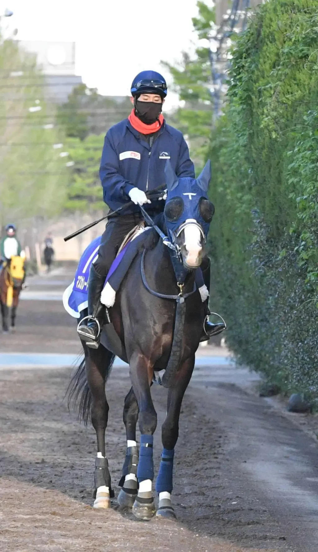 マスカレードボール — JP news