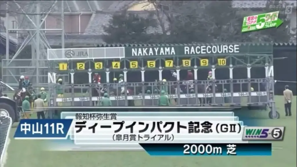 弥生賞 過去 — JP news