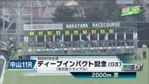 弥生賞 過去 — JP news