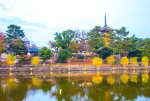 奈良県 — JP news