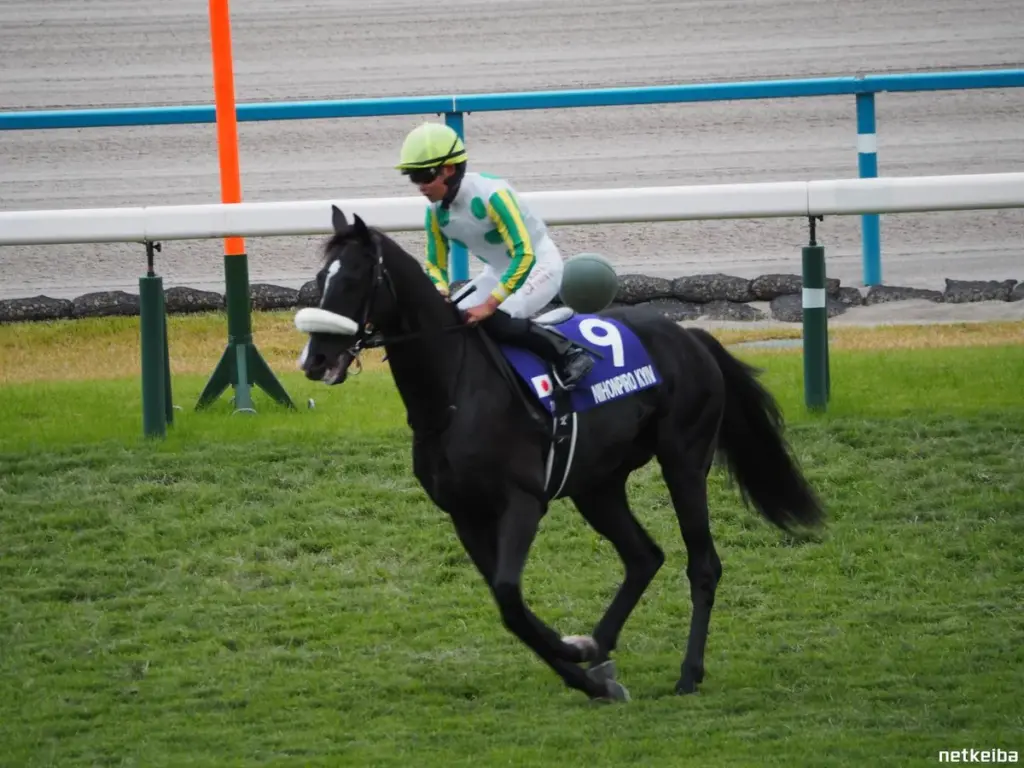 ニホンピロキーフ — JP news