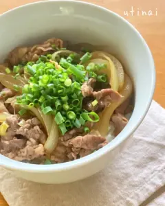 牛丼 — JP news