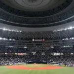 プロ野球 開幕戦