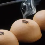 千鳥屋本家: 民事再生法申請の背景と今後の展望