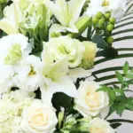 青柳文太郎が死去