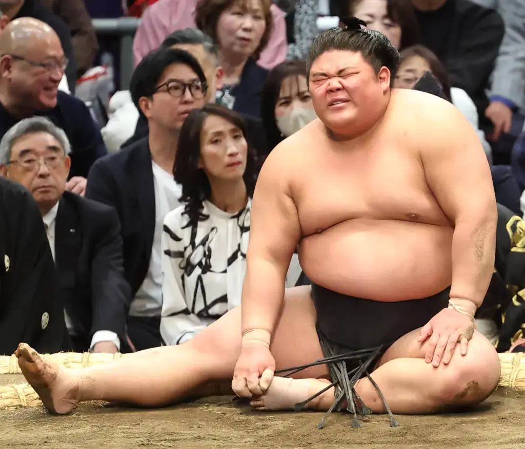 日本相撲協会 — JP news