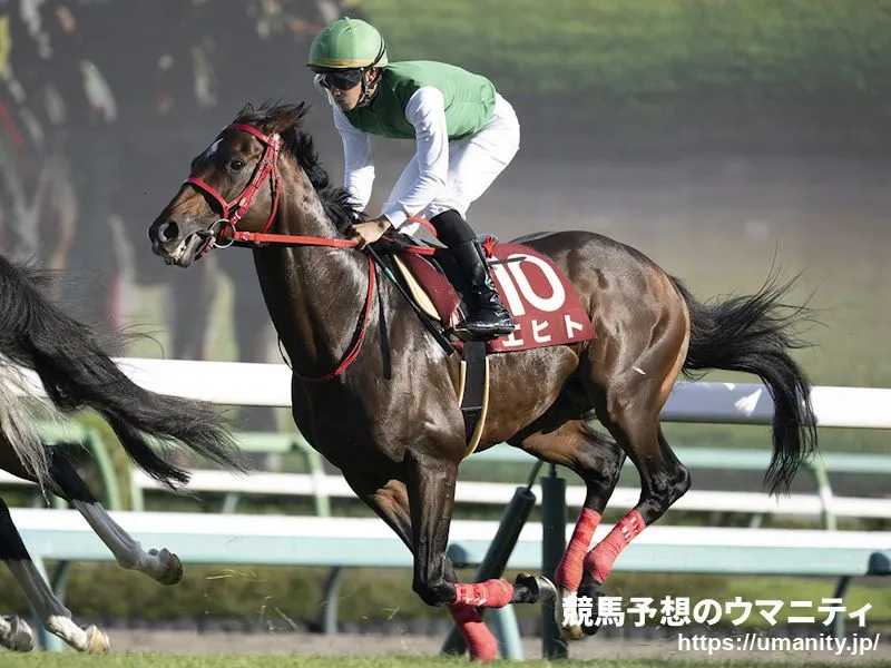 日経賞 — JP news