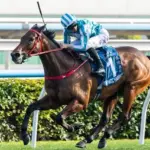 ロマンチックウォリアー、クイーンエリザベス2世カップに向けて順調な仕上がり