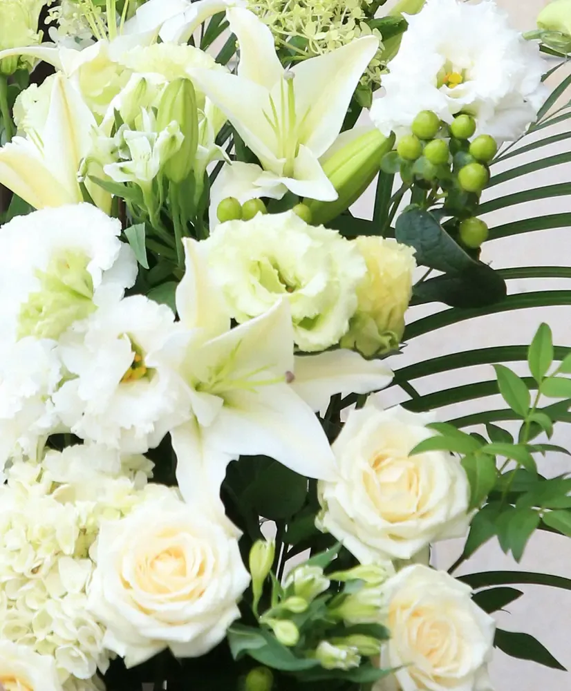 矢沢心 — JP news