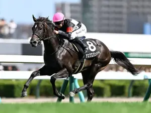 スプリングステークス — JP news