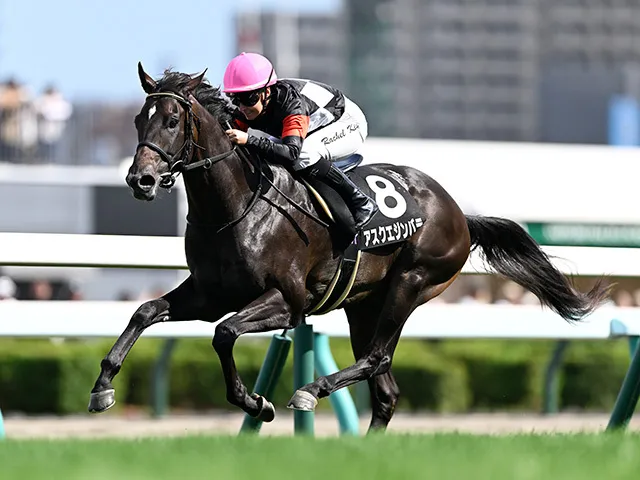 スプリングステークス — JP news