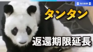 タンタン — JP news