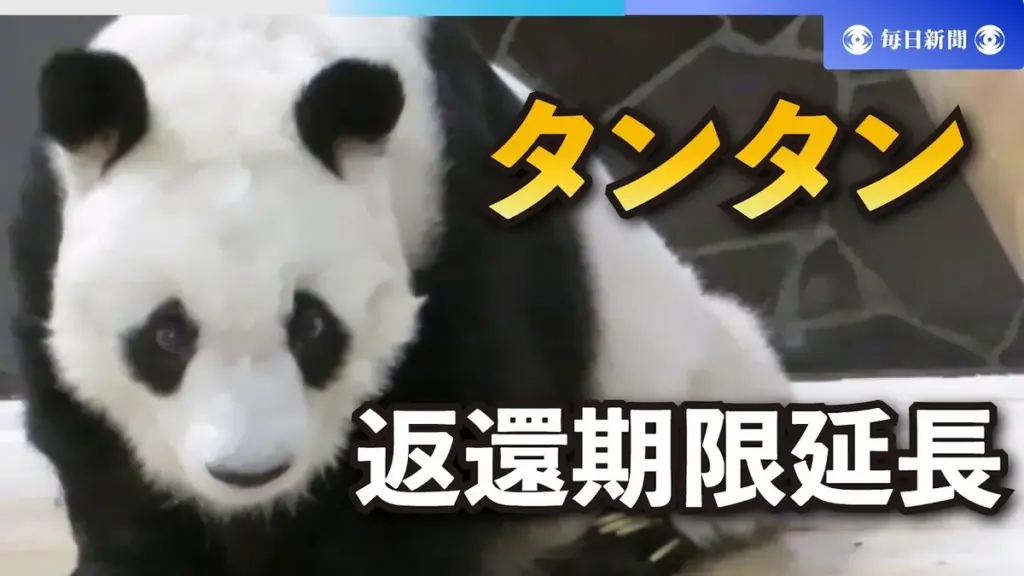タンタン — JP news