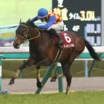 テーオーロイヤルが引退、種牡馬入りへ