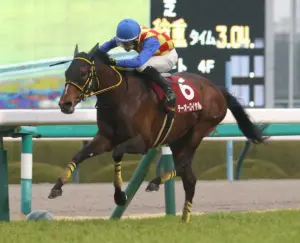 テーオーロイヤル — JP news