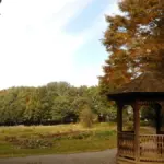 TOHOシネマズ日比谷でのナショナル・シアター・ライブ『フィフス・ステップ』