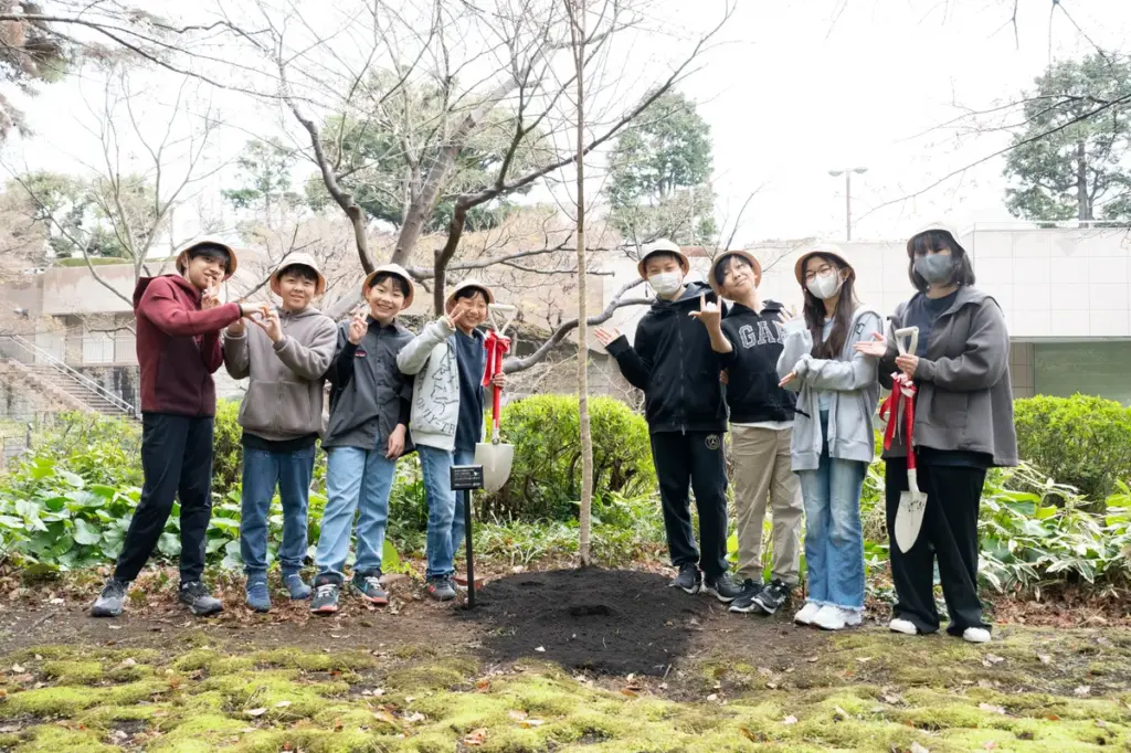桜 祭り 中止 — JP news