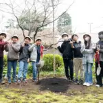 桜 祭り 中止: 桜祭り中止