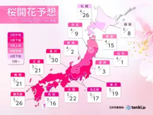 桜 開花予想 — JP news