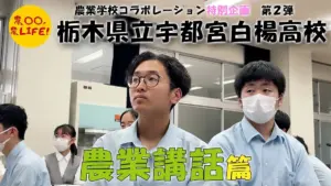 宇都宮白楊高校 — JP news