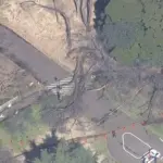 砧公園で発生した倒木事故