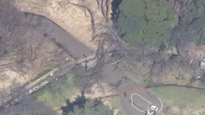 砧公園 — JP news