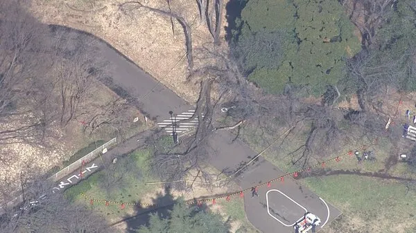 砧公園 — JP news