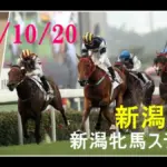 中山牝馬ステークス 過去
