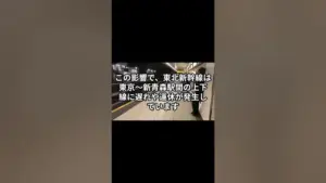 東北新幹線 運行状況 — JP news